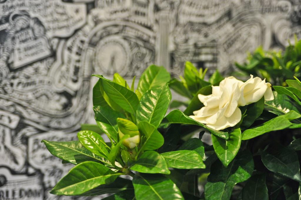 Agrinio Art Suites Εξωτερικό φωτογραφία