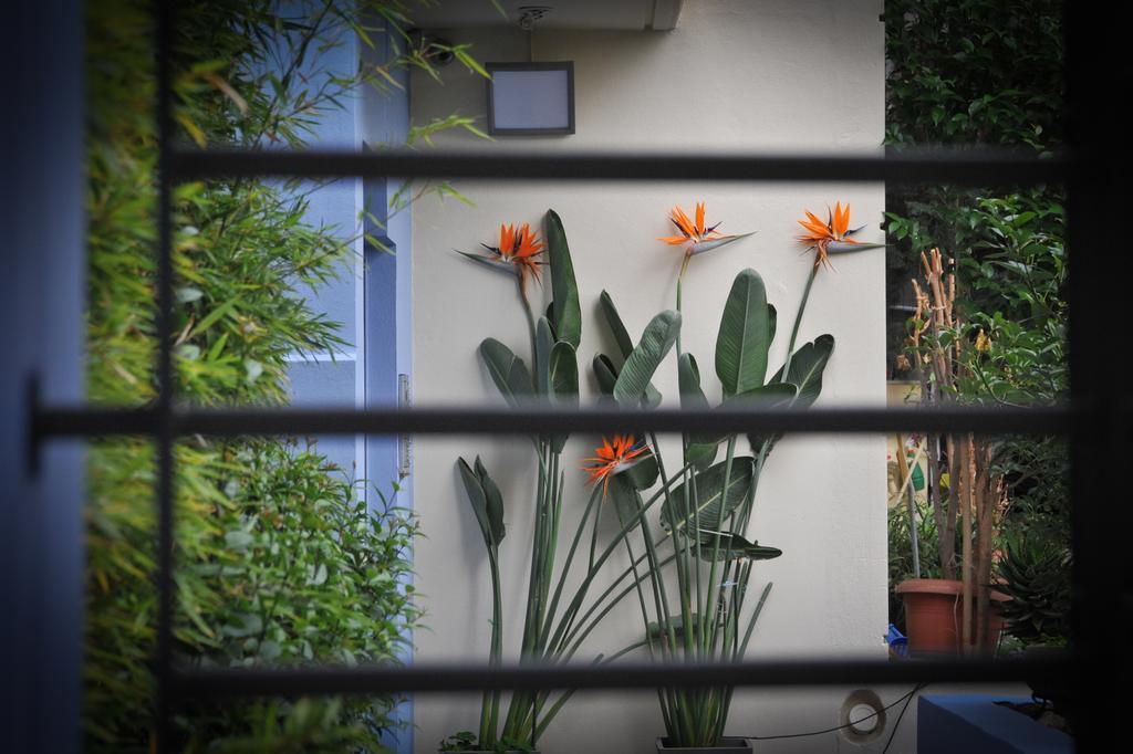 Agrinio Art Suites Εξωτερικό φωτογραφία